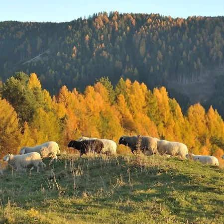 Schiessstandhof Montagna